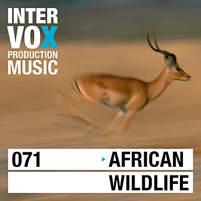 African Wildlife cover
