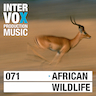 African Timber album cover