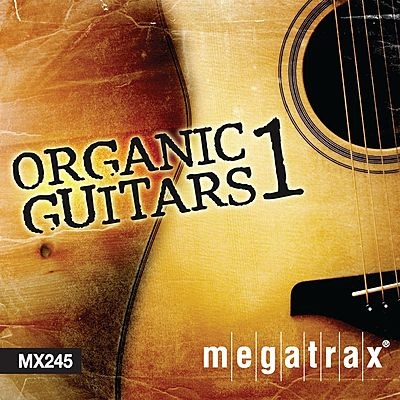 Organic Guitars 1 cover