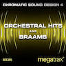 Photometric Distortion Braam album cover