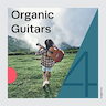 Sunday Picnic album cover