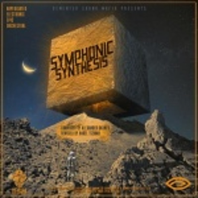 Demented Sound Mafia: Symphonic Synthesis cover